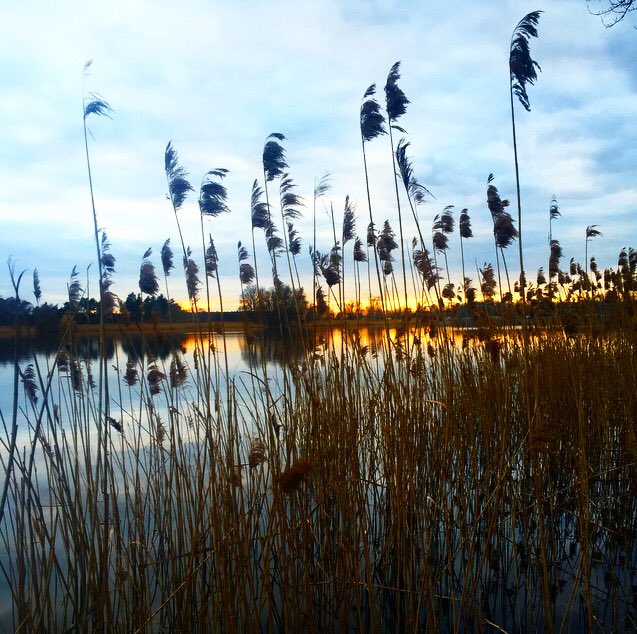 klaus_scheffler's tweet photo. Guten Abend aus dem Havelland. #brandenburg https://t.co/WZSWBHbQ1w
