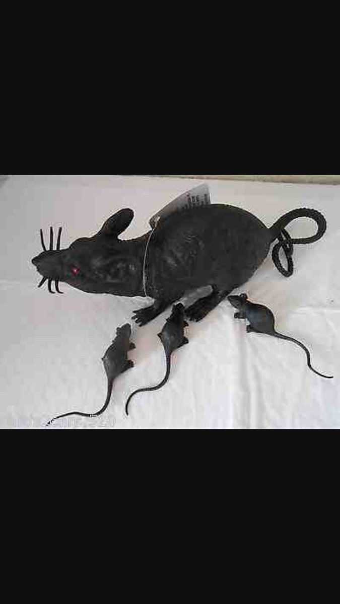 Happy #NationalPuppyDay to all of my good lookin pups out there!