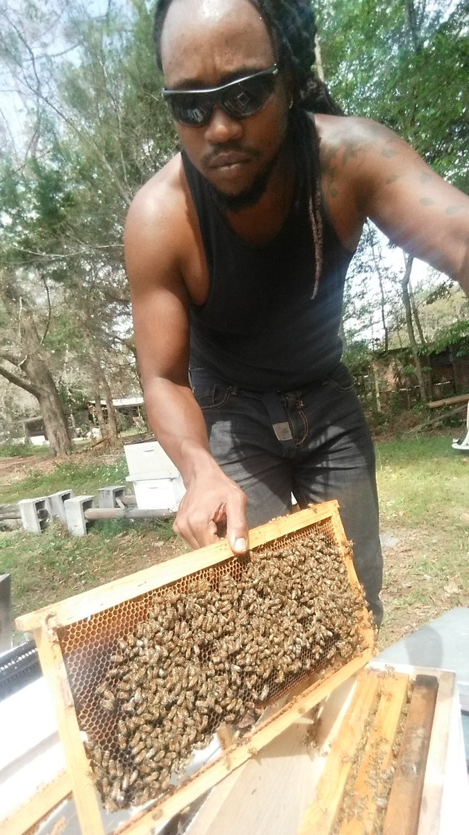 OxxBeekeeping's tweet image. #OxxBeekeeping #SaveTheBees #Pollinators #HoneyBees #BeeComing