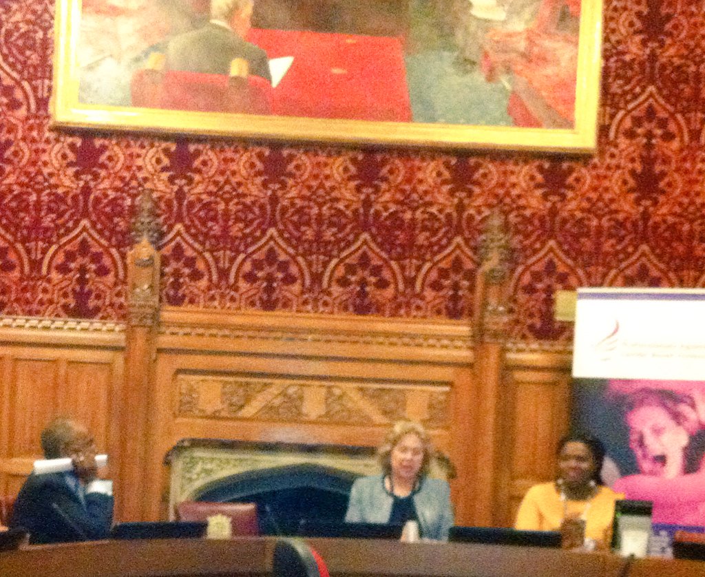 EngAyde's tweet photo. @SaloneDiaspora So proud of @TheAlima and the puissant team of Salone women who debated FGM at the Hse Of Lords ydy. https://t.co/tDxMO5Ut8H