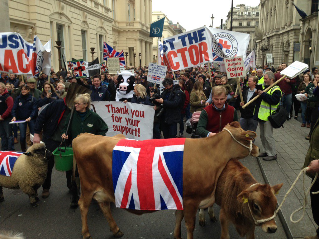FarmersGuardian's tweet photo. Livestock leading the march as it continues to Trafalgar https://t.co/1v4bUtXPDp