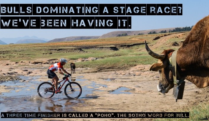 LesothoSky's tweet photo. We've got bulls.  #mountainbikekingdom #lesothosky #mtb https://t.co/4sMcl1aDZu