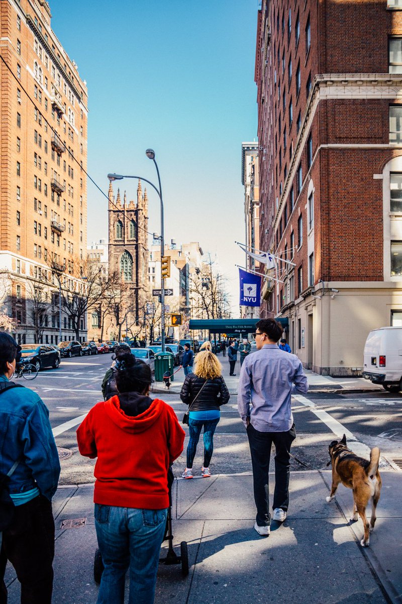 nyuniversity's tweet photo. Spring on 5th Ave. #NYUvibe https://t.co/GaKDA6Qpya