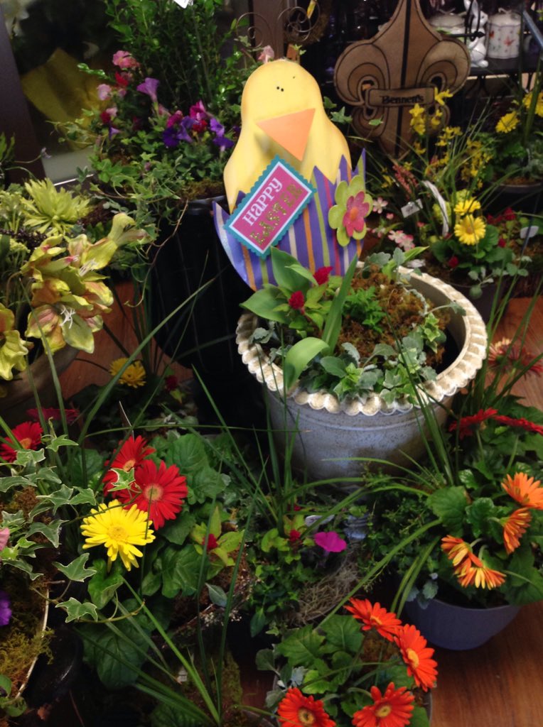 S Flowers Jonesboro Ar Best Flower Site