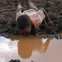 RapandoLawrence's tweet photo. A boy taking polluted water,save our rivers. https://t.co/1bLSUuNaUK