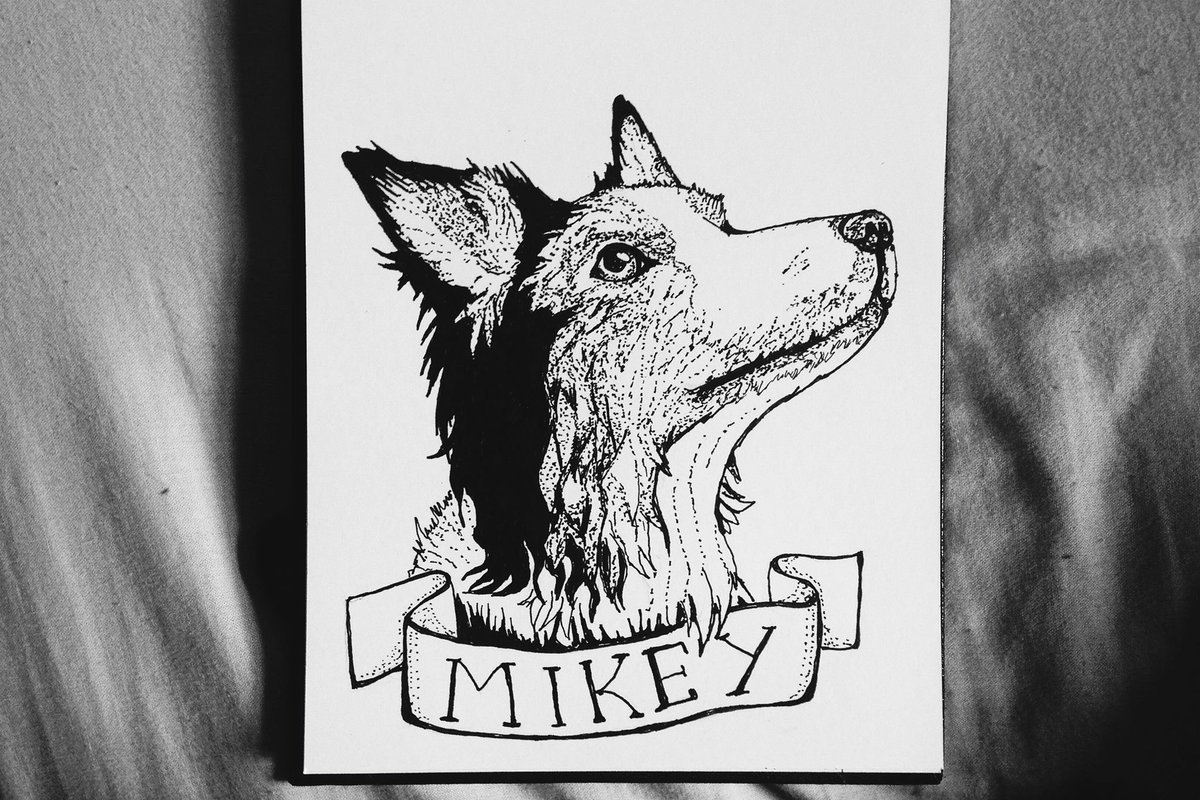 _Skelliton's tweet photo. It's  #NationalPuppyDay !! Celebrate by getting a custom Pet portrait! https://t.co/5aCMEQCyBp https://t.co/NB8G9qpa3j