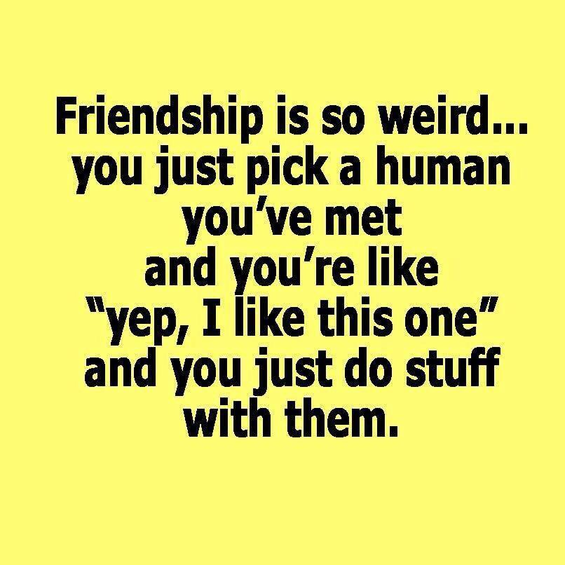 DevonandBrooke's tweet photo. Yep, pretty much! #friends #crazy #fate https://t.co/BBZBO4aopg