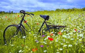 Veloevents1's tweet photo. Easter Bank Holiday is almost among us, RT if you're planning on spending most of it on your bike! #springhassprung https://t.co/XQhnaoQMXx