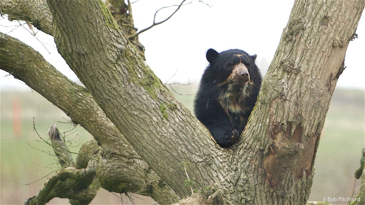 Noahs_Ark_Zoo tweet picture