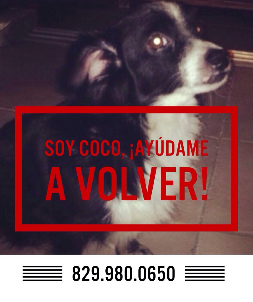 PatZorrilla's tweet photo. @sergiocarlo ayúdame a difundir🙏😔 https://t.co/VaZQPLoLyp