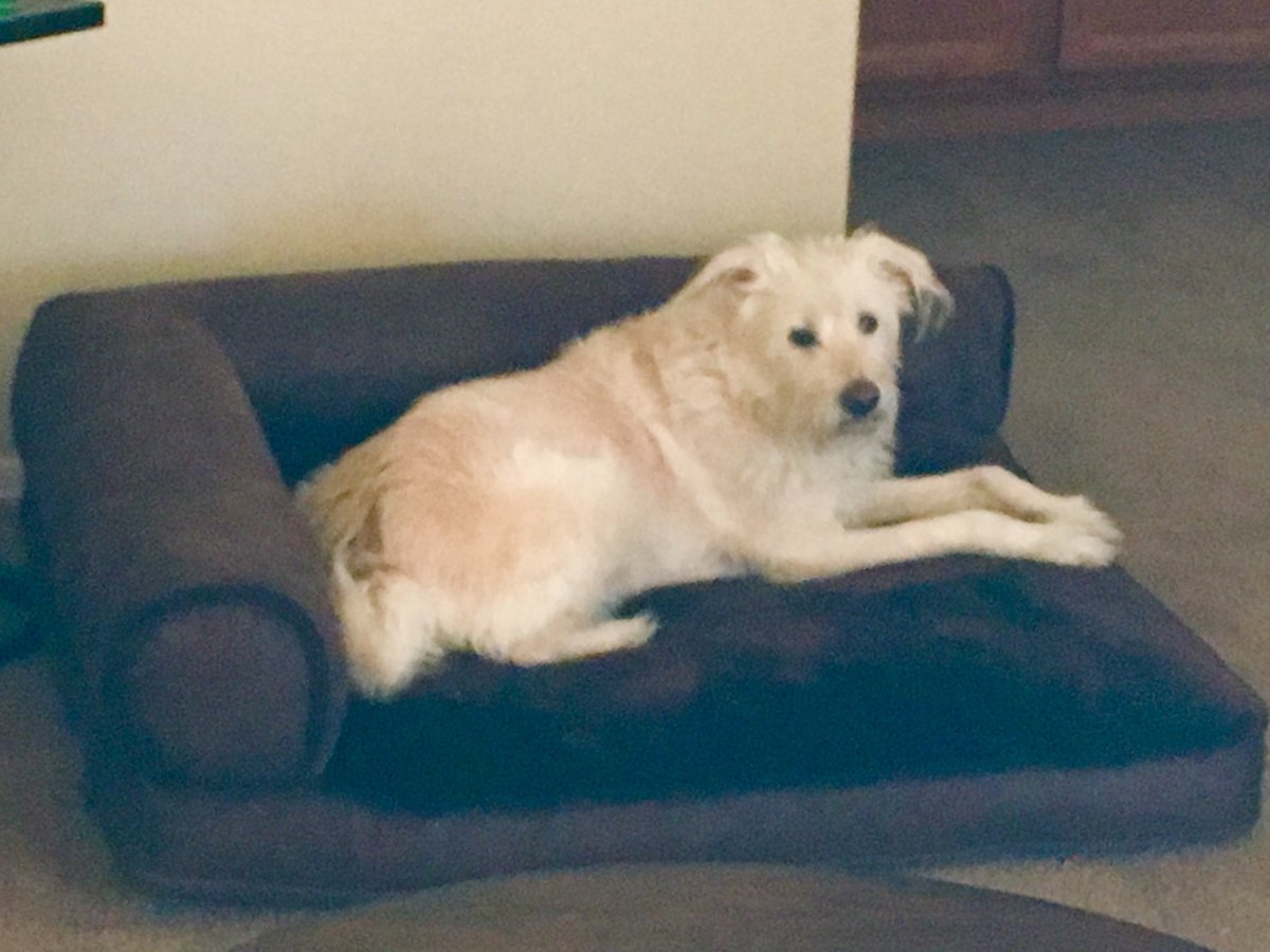 CountryKritter's tweet photo. Waiting for my #CeremonyOfNourishment. What's taking her so long to serve #TheGrub? https://t.co/ZNWXvSVQ4Y