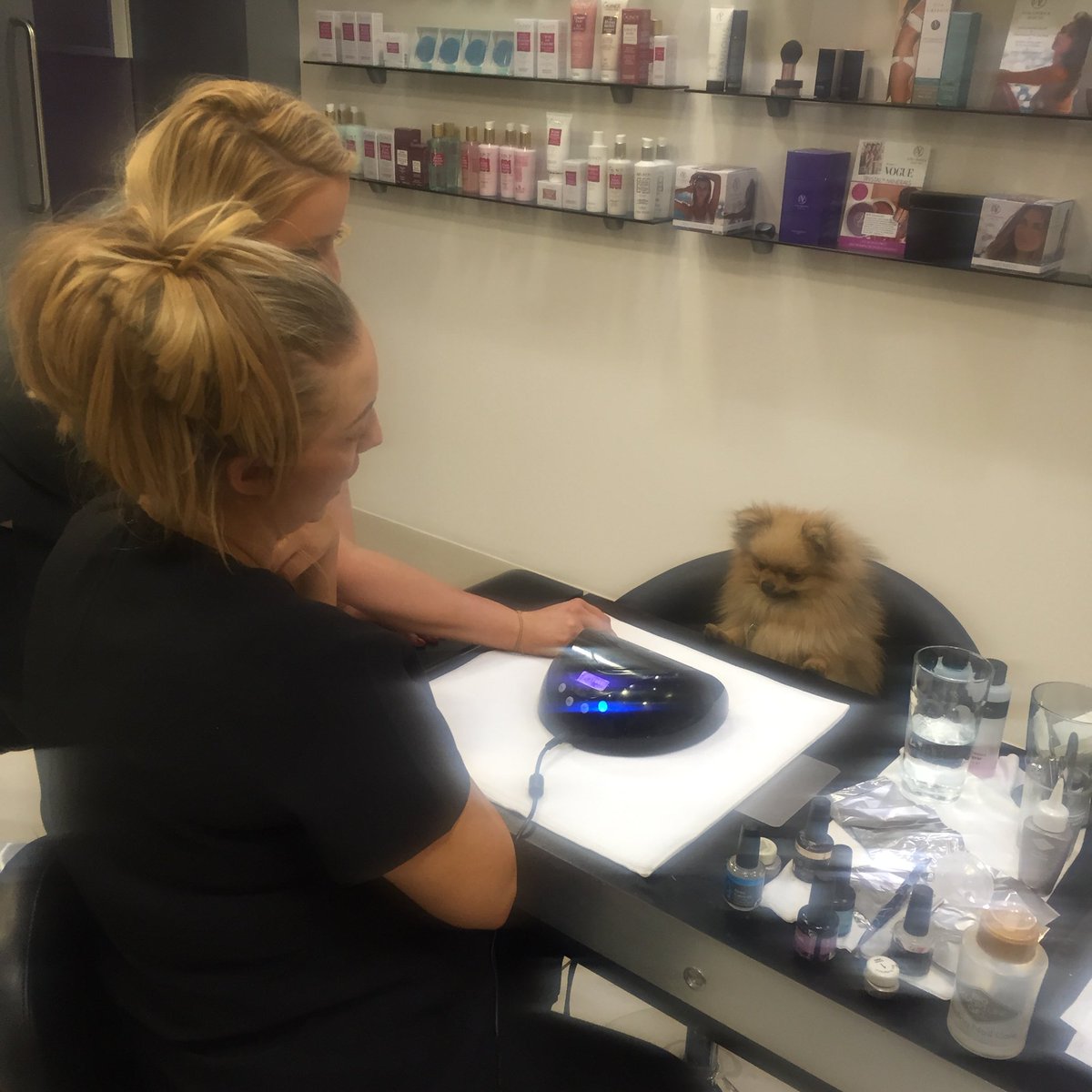 jim_pom1's tweet photo. Jim having his nails done with @kelsey_JRbeauty 💅🏽 https://t.co/9PvxRM83Al