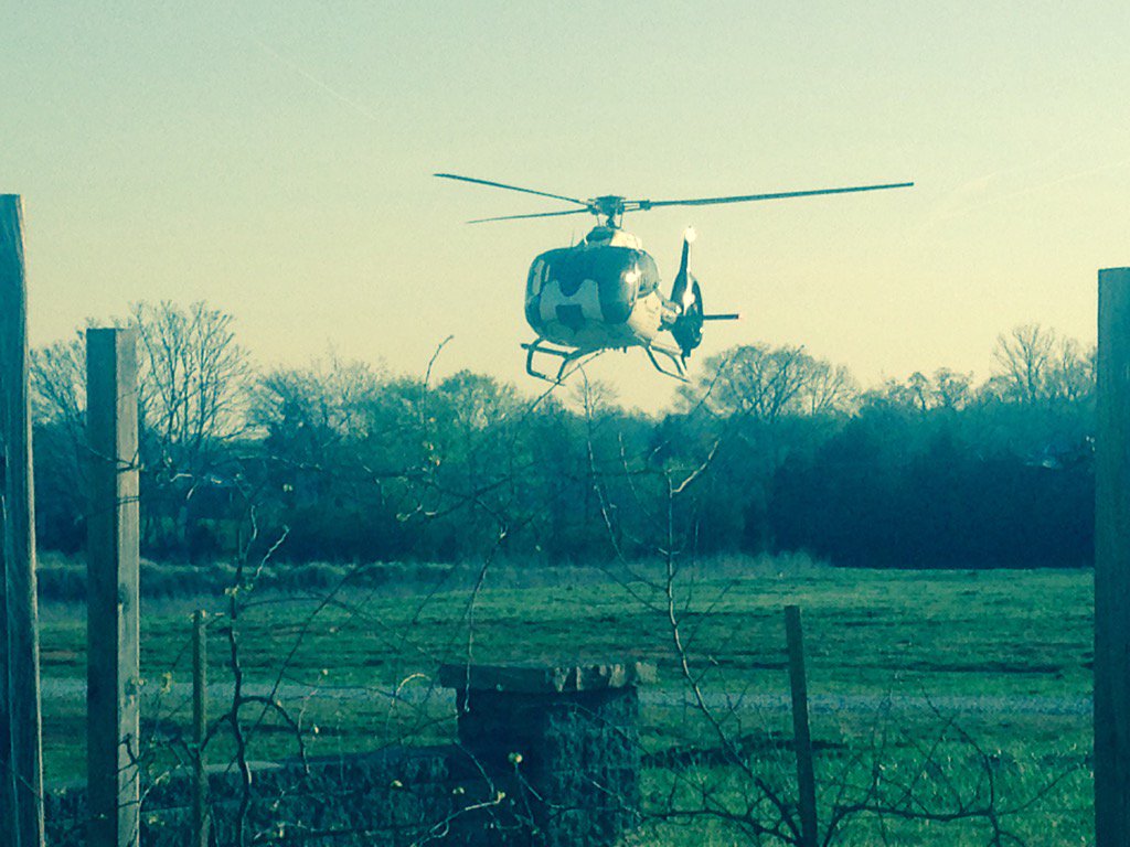 Christopher D. Smith tweet media