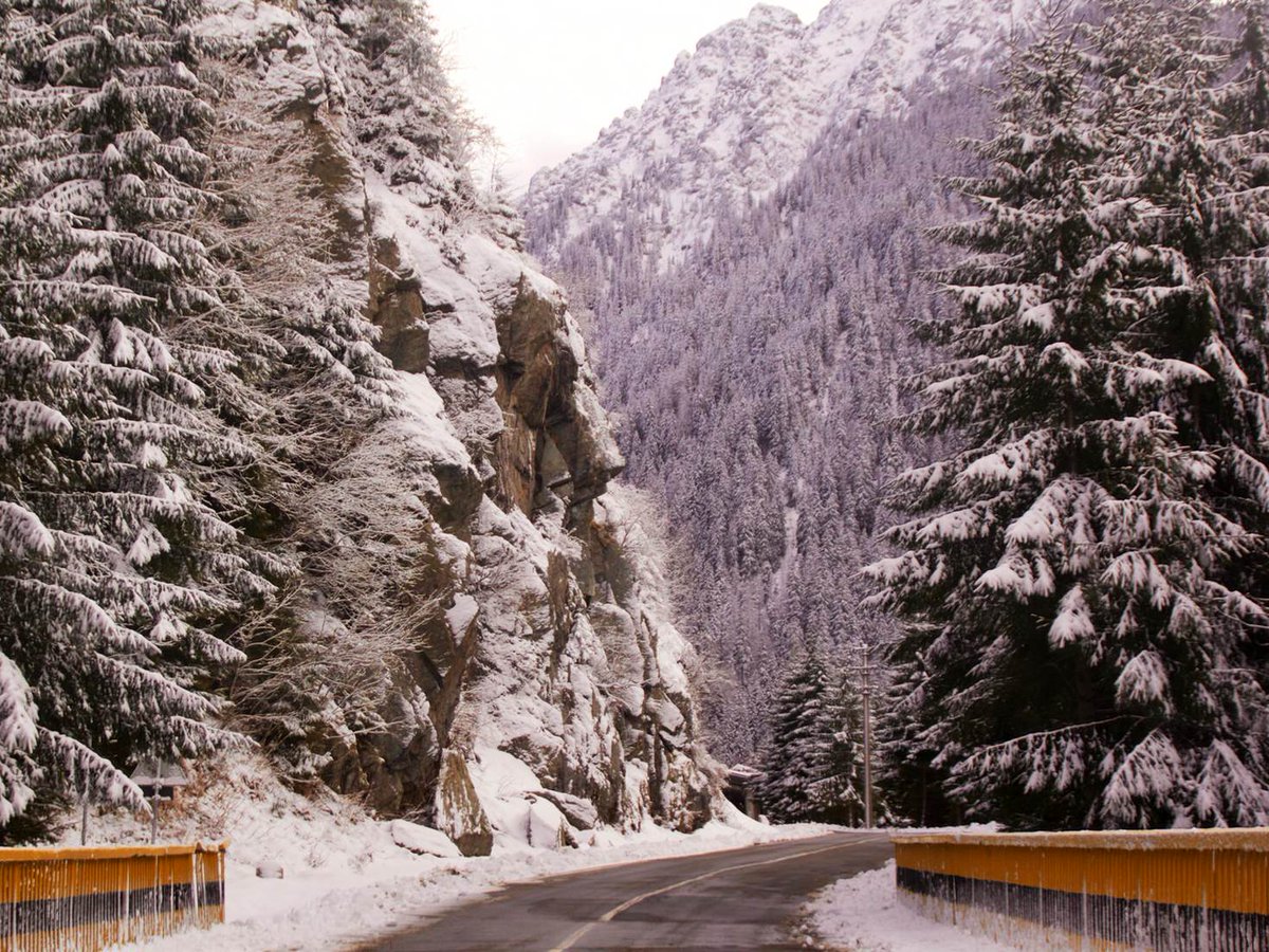 lonelyplanet's tweet photo. Beyond Brasov: exploring Transylvania’s great outdoors https://t.co/Fy4jUg5gO1 by @WildJunket #BestinTravel https://t.co/gYCds7dUjv