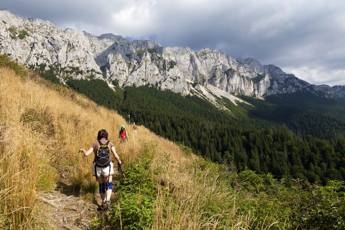lonelyplanet's tweet photo. Beyond Brasov: exploring Transylvania’s great outdoors https://t.co/Fy4jUg5gO1 by @WildJunket #BestinTravel https://t.co/gYCds7dUjv