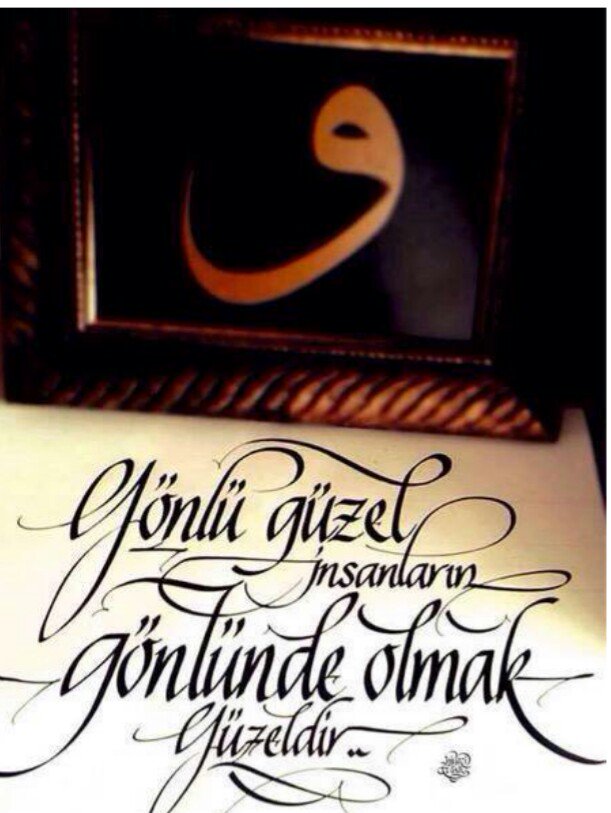haydin tweet media