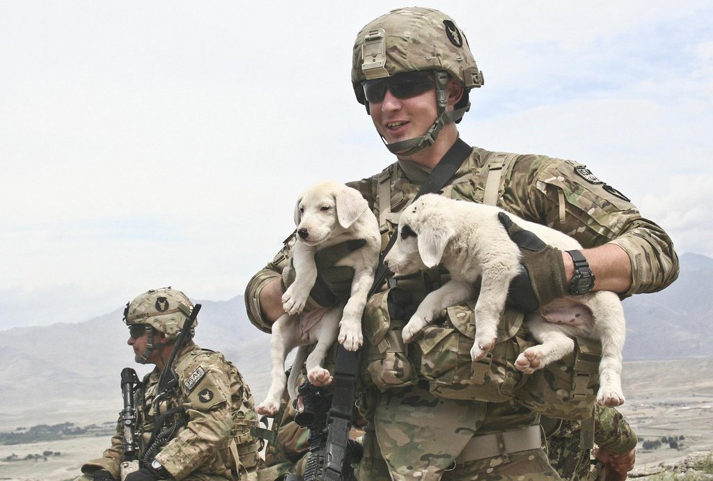 U.S. Army Spc. Ahren Blake, from Clinton, Iowa, holds two puppies he found at an observation post. #NationalPuppyDay
