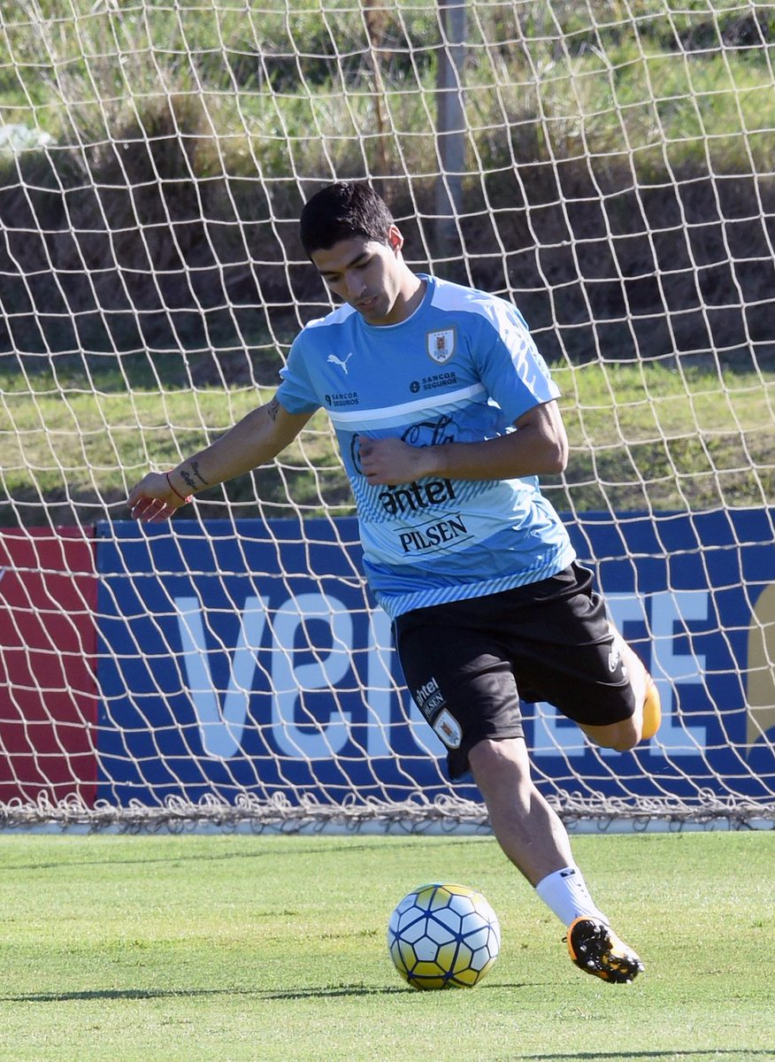 LigadeCampeones's tweet photo. Luis Suárez se marcha con Uruguay tras marcar 17 goles en sus últimos 14 partidos con el @FCBarcelona_es... #UCL https://t.co/boFQSiG7kr
