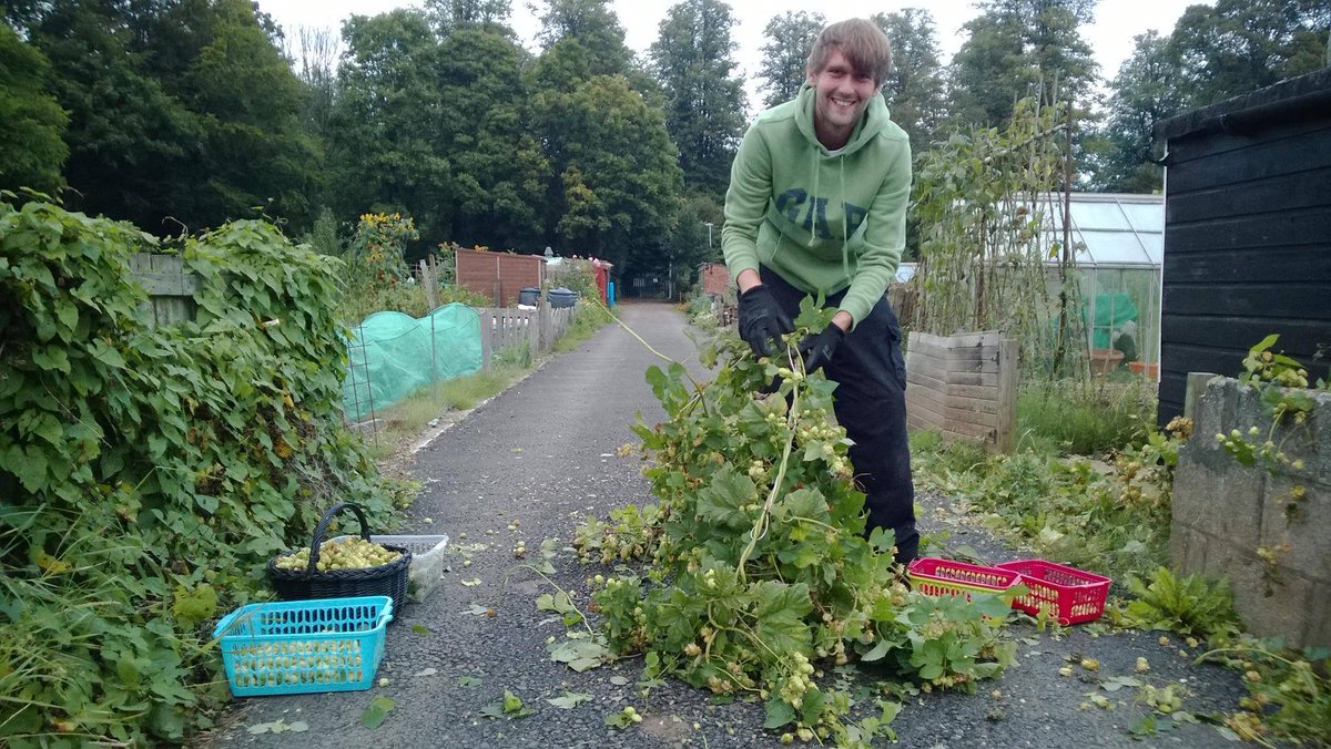 grassrootsmap's tweet image. H is for neighbourhood Hopgrowing! Plant now for a heady community brew with @unbounders unbound.co.uk/books/grassroo…