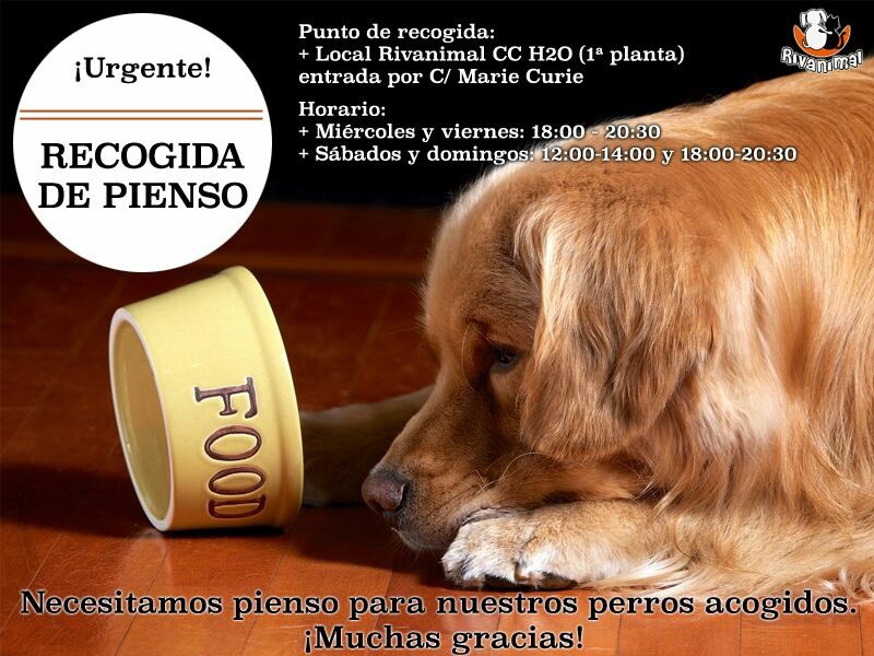Mara_RockNRoll's tweet photo. ¡¡¡URGENTEEEEEE!!! Se necesita pienso🐶 https://t.co/OyRaYmRZK4