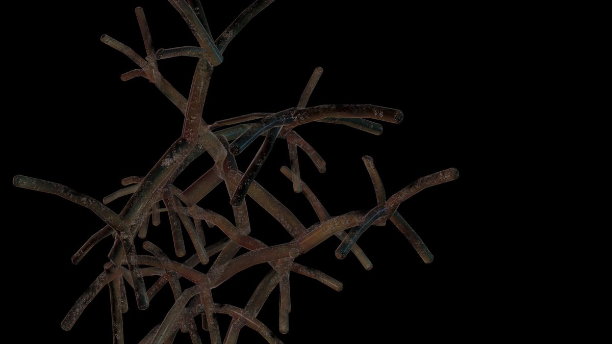 AMNH's tweet photo. Are microbes useful? Yes, we have to have them. Find out why and much more: https://t.co/2Biy6iolF7 #WorldInsideYou https://t.co/tYyEYBqycR
