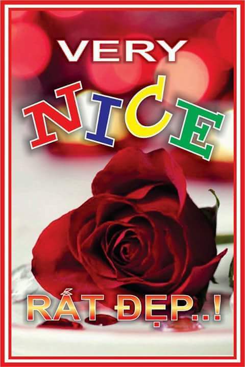 الفرعون الصغير amr (@amr203am) on Twitter photo 