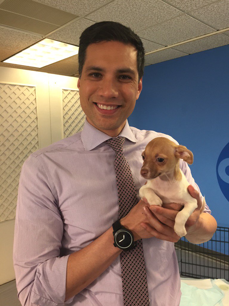 reggieaqui's tweet photo. My new friend Liam is avail at @hssv . Happy #NationalPuppyDay #PuppiesOn7 https://t.co/VQi911dTIo