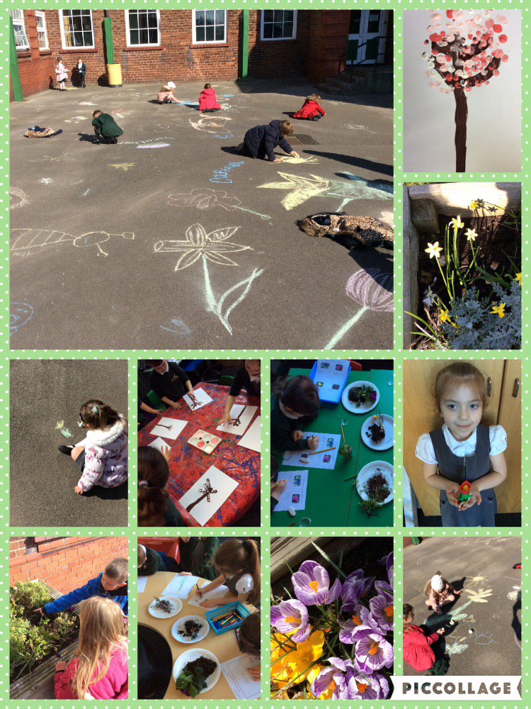 Miss_Day1's tweet photo. Lovely to see Yr 1 so animated about nature, our Spring topic has been a great success @LiscardPrimary #Spring https://t.co/Up7dYuBS3h