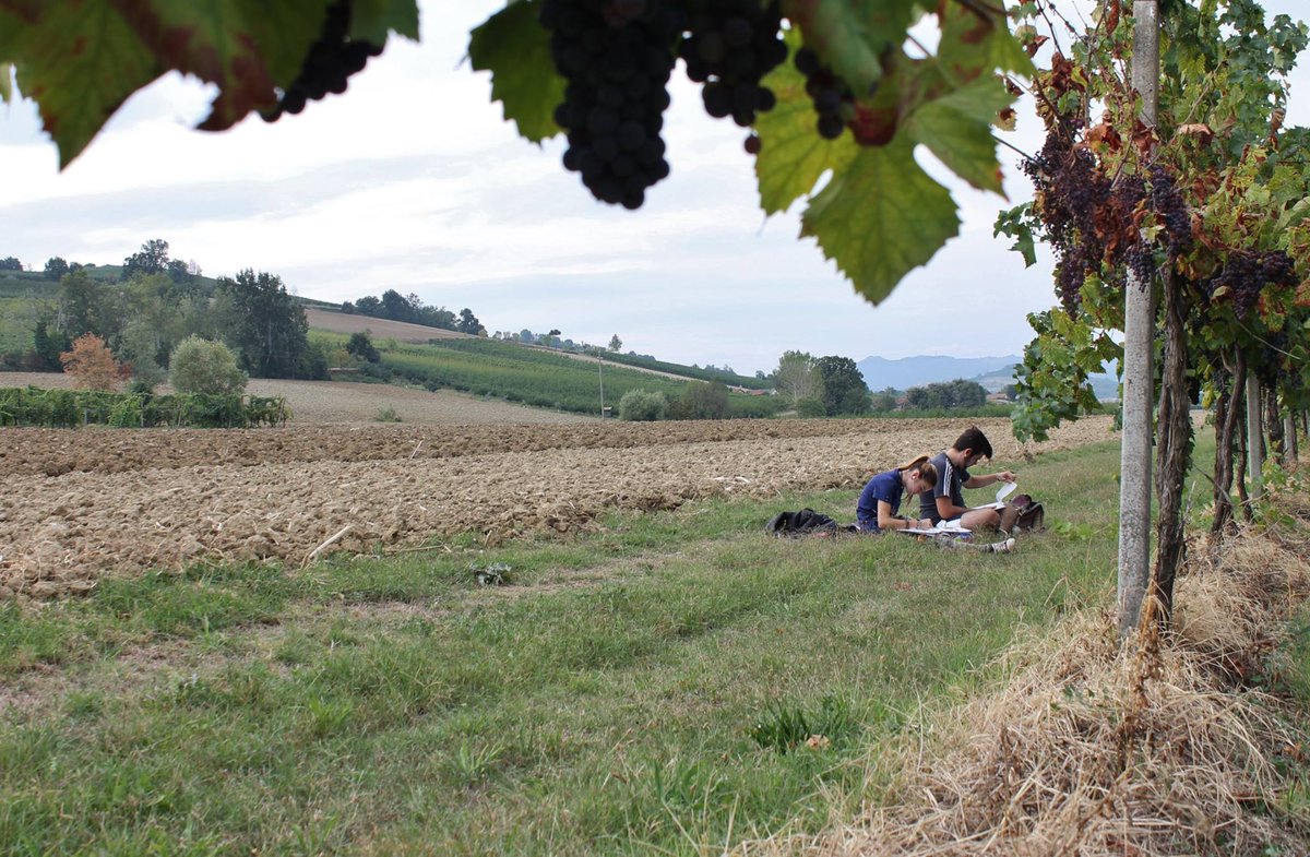 Poggi9Poggi's tweet photo. the beauty of #Romagna's #countryside such as gardens #greentourism #tourism #sustainability @GreenTourismUK #ravenn https://t.co/Xg5obv5HVN