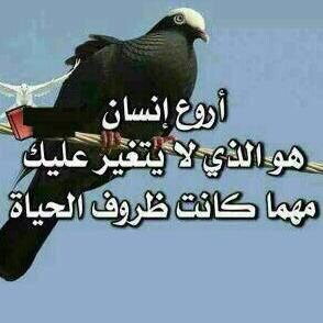 iymanhamse43's tweet photo. https://t.co/hMIsCWGt53
