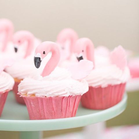 SC_Cosmetics_UK's tweet photo. Don't mind us we'll just be over here eating flamingo cupcakes whilst wearing #SheerStick in Sheer Flamingo! #pink https://t.co/RhqBdgb0q5