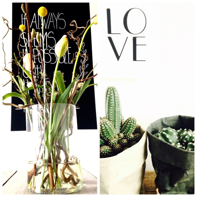 AlizeDiepgrond's tweet photo. Springtime! Share it!  @meentbouman https://t.co/goqsNMTepu https://t.co/dDWzpyfmcF