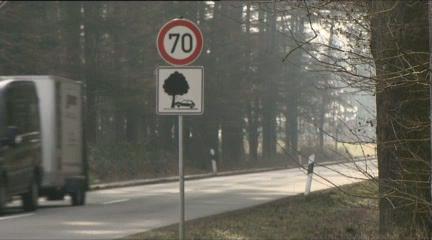 NDRreporter's tweet photo. Prävention: Mithilfe dieser Schilder ist laut Verkehrsministerium #Nds die #Baumunfall-Zahl um 5,3% zurückgegangen. https://t.co/XsoTywtqcH