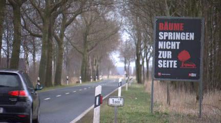 NDRreporter's tweet photo. Prävention: Mithilfe dieser Schilder ist laut Verkehrsministerium #Nds die #Baumunfall-Zahl um 5,3% zurückgegangen. https://t.co/XsoTywtqcH