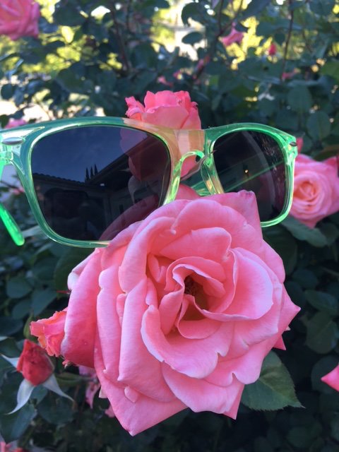 HeffronDrive's tweet image. Sunglasses are in! #NewMerch