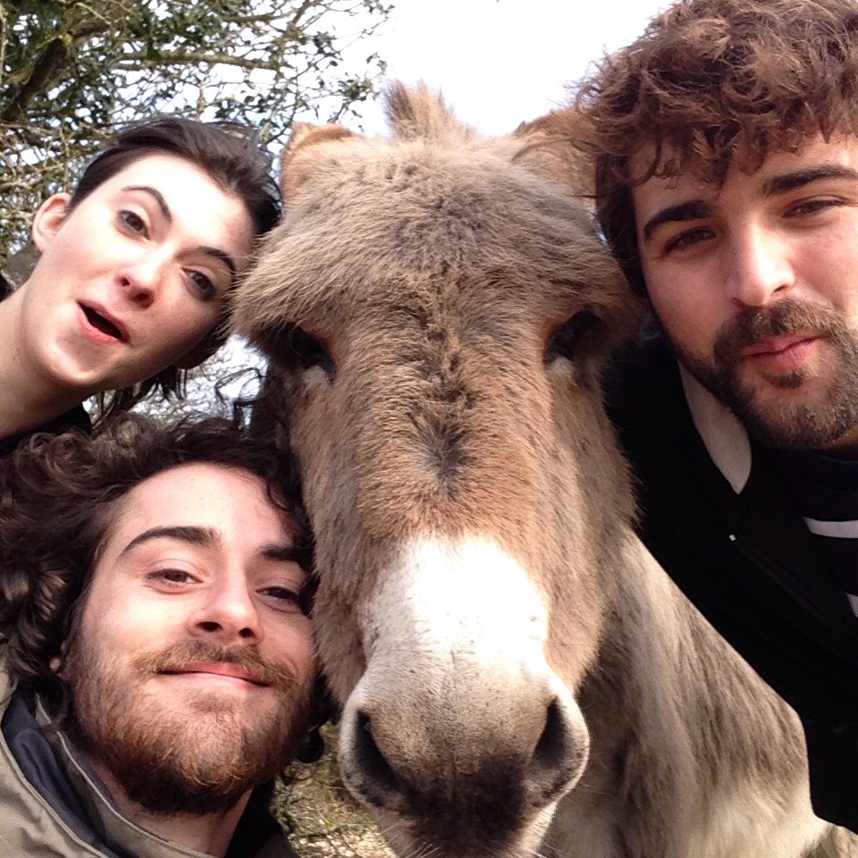Alexpeterpowell's tweet photo. Pony selfies at new Forrest @ep_fernandez @Clionabyrne2 https://t.co/QHwp3XcUIS