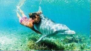 Swim with dolphins 💜