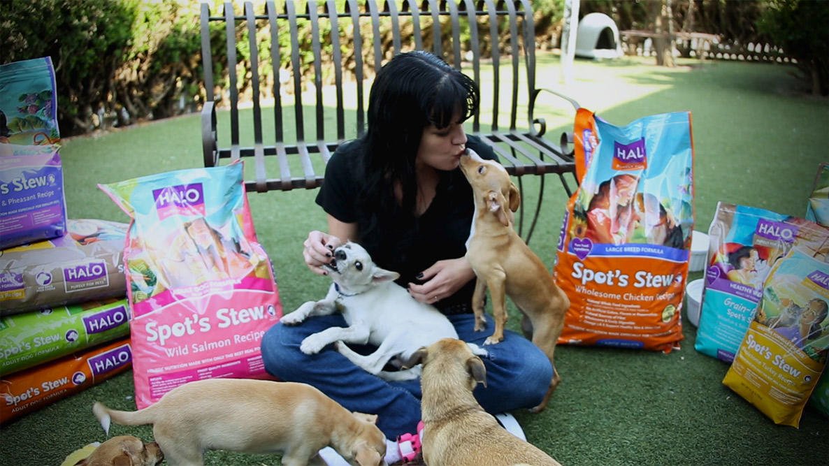.<a href="/PauleyP/">Pauley Perrette</a> plays with #puppies at the <a href="/amandafnd/">Amanda Foundation</a>! #NationalPuppyDay Watch the video at bit.ly/25mzlz8