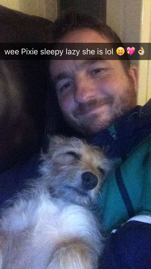 StephenCarr12's tweet photo. Happy #NationalPuppyDay ❤️👌🏼🐶 https://t.co/2YAFNq4dlM