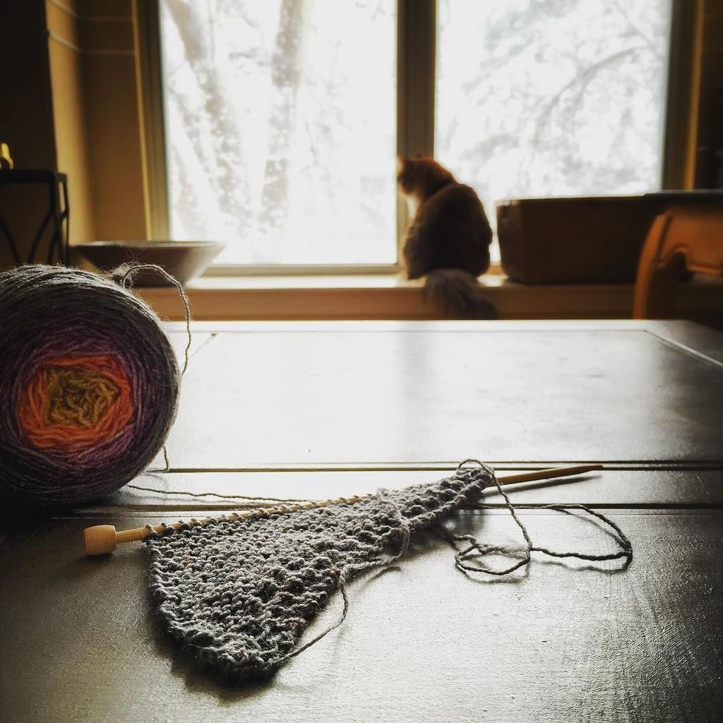 thecalicolover's tweet photo. #widn hanging with my kitty and some yarn in the middle of a Colorado blizzard. :)
#makeso… https://t.co/RNsbOfaT0u https://t.co/UhNuYfpBnb