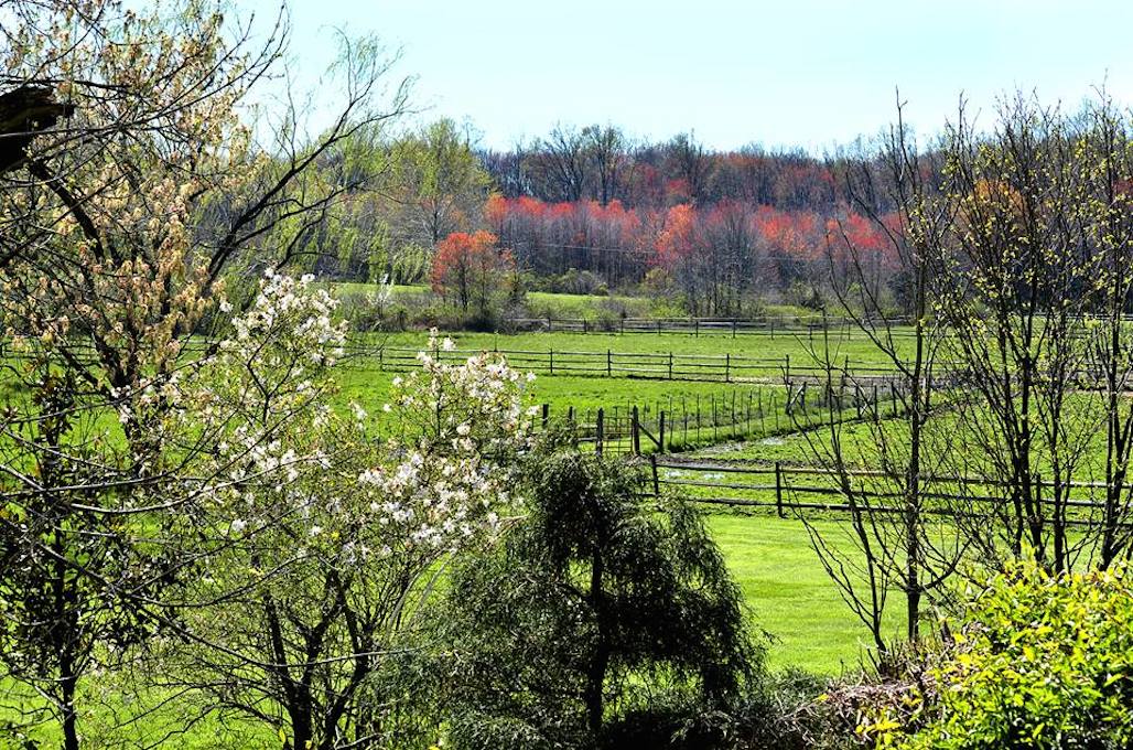 visitbrandywine's tweet photo. Spring has sprung in #BrandywineValley :D - See the beautiful colors of #ChesterCounty for yourselves. #VisitBV soon https://t.co/ecwcTxZouN