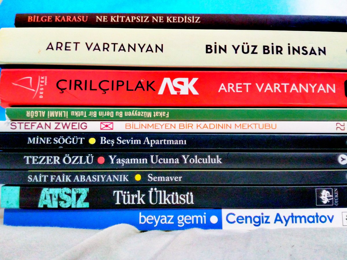 bediabakirtas's tweet photo. Bütün paramı şu kitaplara yatırmasam iyi kızım aslında... #bilgekarasu #atsız #ilhamialgor #tezerozlu #minesogut https://t.co/bZCN4eCXtQ