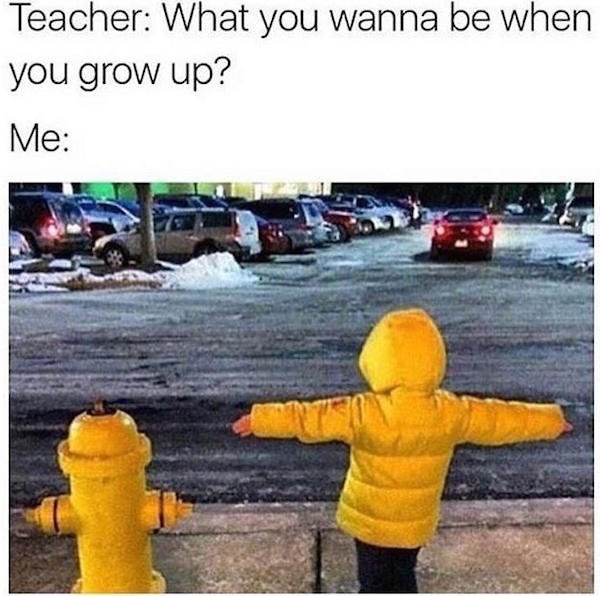 MensHumor's tweet photo. Career Goals https://t.co/ewwetQbDV6