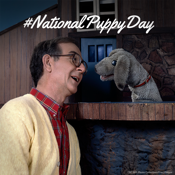 CBC's tweet photo. There's no better puppy pic to share on #NationalPuppyDay than Finnegan's. #loveCBC #MrDressup https://t.co/RaHX22LfQ9