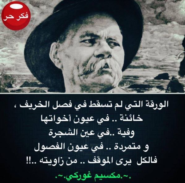 صقر اليمن الحر (@freeyemenfalcon) on Twitter photo 