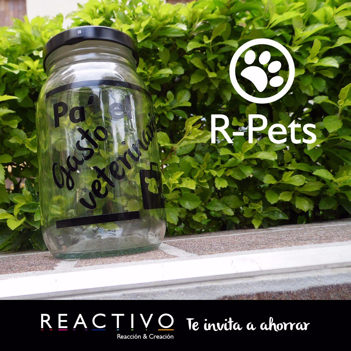 reactivorpets's tweet photo. Los gastos de tu mascota son inesperados y generan un gasto extra🐶 Ahorra para cuidar a tu peludito❤ #CaliCo https://t.co/bNH3zJJs7c