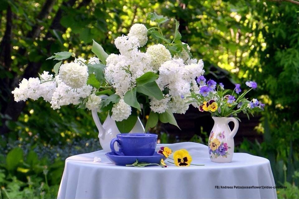Весенние цветы картинки красивые с добрым утром. Утренние цветы. Весенние цветы в саду. Утренние цветы в саду. Сирень в саду.