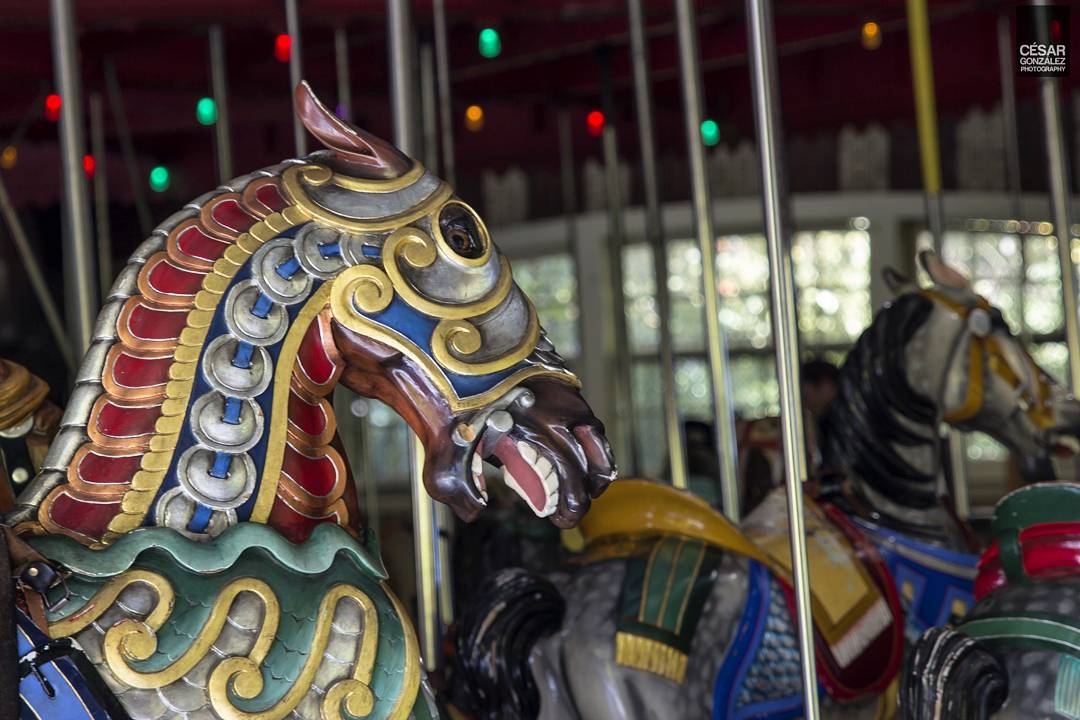 SwingShift_App's tweet photo. Lions and tigers and horses, oh my. Take a spin on the Central Park Carousel. #Perfect24 https://t.co/h2kkK9H3NJ https://t.co/EdWnIBlVsp