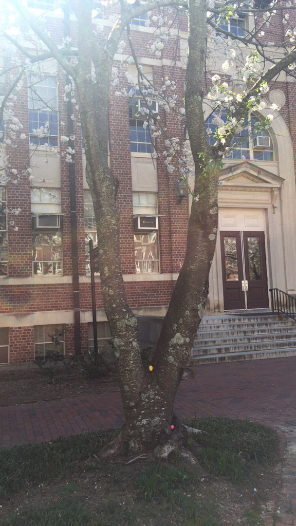 There are lots of eggs hidden close to the building where aspiring journalists can be found..