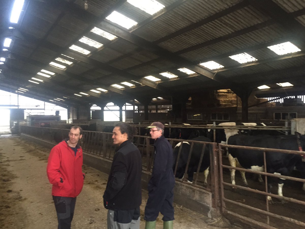 Simon Kristiansen tweet media